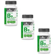 Kit 3 Vitamina B9 Ácido Fólico 600mcg 60 Cápsulas Chamel Kit 3 Vitamina B9 Ácido Fólico 600mcg 60 Cápsulas Chamel
