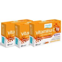 Kit 3 Vitamina C 1g Liberação Prolongada 10 Comp Equaliv
