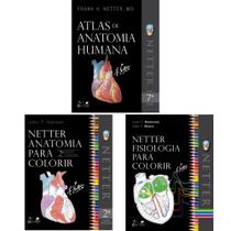 Kit 3 vol netter: atlas de anatomia humana + fisiologia para colorir + anatomia para colorir