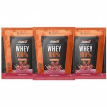 Kit 3 Whey Protein 100% 21G Proteina Morango Sache