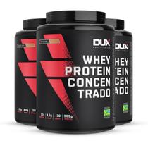 Kit 3 Whey Protein Concentrado Dux Doce De Leite 900G Kit 3 Whey Protein Concentrado Dux Doce De Leite 900G