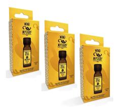 Kit 3 Wind Mystery Óleo Almíscar Selvagem 5ml - Rugol