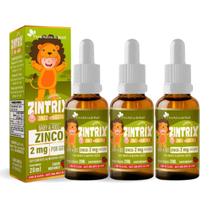 Kit 3 Zinco Gotas 20ml Sabor Morango Zintrix Kids Flora Nativa Kit 3 Zinco Gotas 20ml Sabor Morango Zintrix Kids Flora Nativa