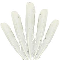 Kit 30un Pena de Passaro Leke Leke Africano Para Ritual Candomble Espiritual