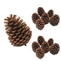 Kit 30un Pinha Natal Enfeite Natural Decorativa Artesanato Natalino Ambientes Fim De Ano
