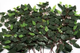 Kit 36 Galhos Folha Decorativa Artificial Muro Inglês Ficus Kit 36 Galhos Folha Decorativa Artificial Muro Inglês Ficus