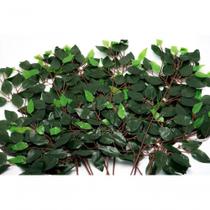 Kit 36 Galhos Folha Decorativa Artificial Muro Inglês Ficus Kit 36 Galhos Folha Decorativa Artificial Muro Inglês Ficus