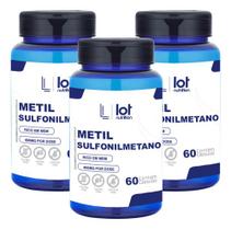 Kit 3un Msm 400mg 60 Cápsulas