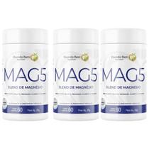 Kit 3x 5 Magnésios 60 Cápsulas 300mg Alta Absorção Vivendo Bem Sem Sabor