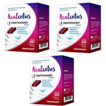 Kit 3x Acalentus L-Triptofano 250Mg 60 Cápsulas Maxinutri