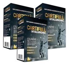 kit 3x Cartifull Hyaluronic Colágeno Tipo 2 Domina 60 Cápsulas kit 3x Cartifull Hyaluronic Colágeno Tipo 2 Domina 60 Cápsulas