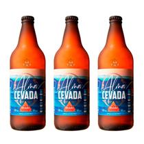 Kit 3x Cervejas Nacionais Artesanais Brüder Alma Cevada 600ml