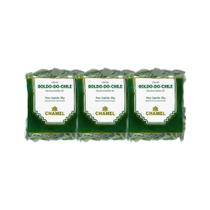Kit 3x Chá Pacote Boldo do Chile Folhas 30g - CHAMEL Kit 3x Chá Pacote Boldo do Chile Folhas 30g - CHAMEL