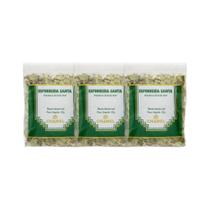 Kit 3x Chá Pacote Espinheira Santa 30g - CHAMEL