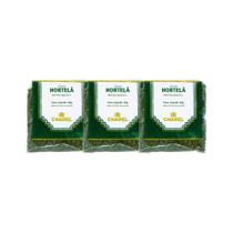 Kit 3x Chá Pacote Hortela 30g - CHAMEL
