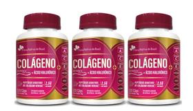 Kit 3x Colágeno Ácido Hialurônico 120 cápsulas Flora Nativa do Brasil Kit 3x Colágeno Ácido Hialurônico 120 cápsulas Flora Nativa do Brasil