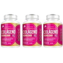 Kit 3x Colágeno Hidrolisado Vitaminas A C E D 60 Capsulas 400mg Flora Nativa Kit 3x Colágeno Hidrolisado Vitaminas A C E D 60 Capsulas 400mg Flora Nativa