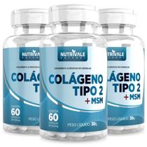 Kit 3x Colágeno Tipo 2 Com Msm 60 Cápsulas 500mg - Nutrivale