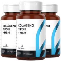 KIT 3X Colágeno Tipo 2 + MSM 60 capsulas - Natulha