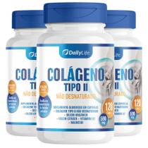 Kit 3x Colageno Tipo 2 Não Desnaturado 590mg 120 Capsulas Suplemento Alimentar com Calcio Magnesio Vitamina K2 Silicio Organico