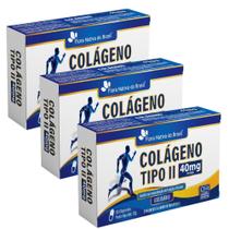 KIT 3X Colágeno Tipo II 40mg 30 Cápsulas - Flora Nativa