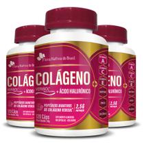 Kit 3x Colageno Verisol + Acido Hialuronico 750mg 120 Capsulas Cada - Flora Nativa