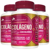KIT 3X Colágeno Verisol com Ácido Hialurônico 120 cápsulas - Flora Nativa