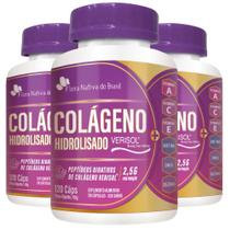 Kit 3X Colágeno Verisol Vitaminas 120 Cápsulas Flora Nativa