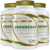 KIT 3X Cranberry 500mg 60 cápsulas - Flora Nativa