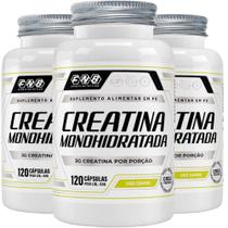 KIT 3X Creatina Monohidratada 120 cápsulas - FNB Sports KIT 3X Creatina Monohidratada 120 cápsulas - FNB Sports