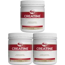 Kit 3X Creatine Monohidratada - 300g - Vitafor