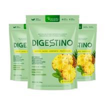 Kit 3x Digestino Mix Fibras Prebiótico Para Saúde Intestinal e Digestão Denavita