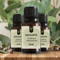 Kit 3x Essências Aromatizantes Nattuaromas hidrossolúvel Aroma:EUCALIPTO Kit 3x Essências Aromatizantes Nattuaromas hidrossolúvel Aroma:EUCALIPTO