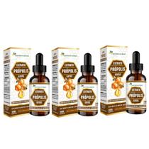 Kit 3x Extrato de Própolis (40% EXT) 30ML Flora Nativa do Brasil Kit 3x Extrato de Própolis (40% EXT) 30ML Flora Nativa do Brasil