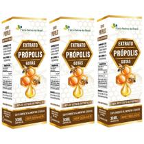 KIT 3X Extrato de Própolis em gotas 40% 30ml - Flora Nativa KIT 3X Extrato de Própolis em gotas 40% 30ml - Flora Nativa