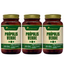 Kit 3x Extrato Seco Própolis Verde 60 Capsulas 500mg