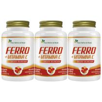 Kit 3x Ferro Quelato + Vitamina C 60 Capsulas 500mg Flora Nativa