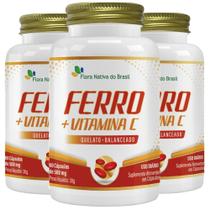 KIT 3X Ferro Quelato + Vitamina C 60 cápsulas - Flora Nativa