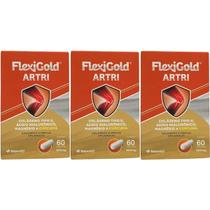 Kit 3X Flexigold Artri - 60 Cápsulas - Herbamed