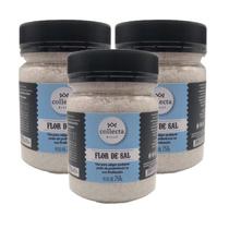 Kit 3X: Flor De Sal Collecta Brasil 250G