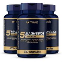 Kit 3x Frascos Magnésio 5 Fontes Quelato, Malato, Taurato, Citrato, Óxido, 120 Cápsulas 500mg Muwiz
