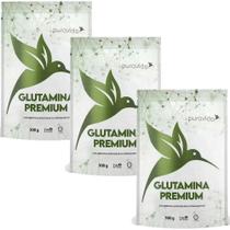 Kit 3x Glutamina Premium - (300g) - 100% Pura - Pura Vida