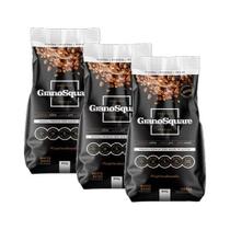 Kit 3X: Granola Premium Zero Açúcar Sem Glúten GranoSquare 800g