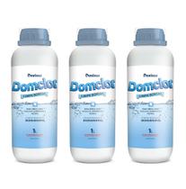 Kit 3X Limpa Bordas Domclor 1L Limpeza Para Piscina
