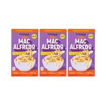 Kit 3X: Macarrão Macalfredo Frango Sem Glúten Holysoup 200G