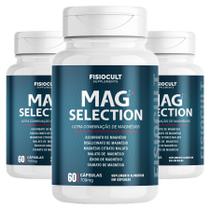 Kit 3x Mag Selection Magnésio em Cápsulas Várias Fontes de Magnésio 60 Cápsulas Suplemento para Adultos Sem Gluten