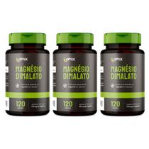Kit 3x - Magnésio Dimalato - 120 cápsulas - Omix