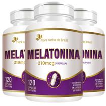 KIT 3X Melatonina 120 cápsulas - Flora Nativa KIT 3X Melatonina 120 cápsulas - Flora Nativa