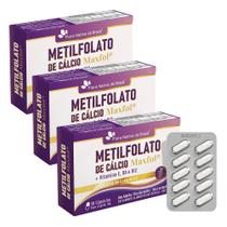 Kit 3x Metilfolato de Calcio (Maxfol) + Vitamina E, B6, B12 30 Cápsulas Cada - Flora Nativa