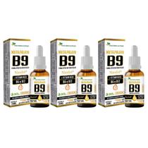 Kit 3x Metilfolato MaxFol Vitaminas B6 B12 Sabor Salada de Frutas 30ml Flora Nativa